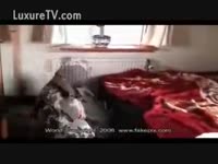 A sexy sexy floozy drilled by Dalmatian